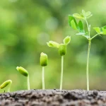 Αγροτικές Εφαρμογές